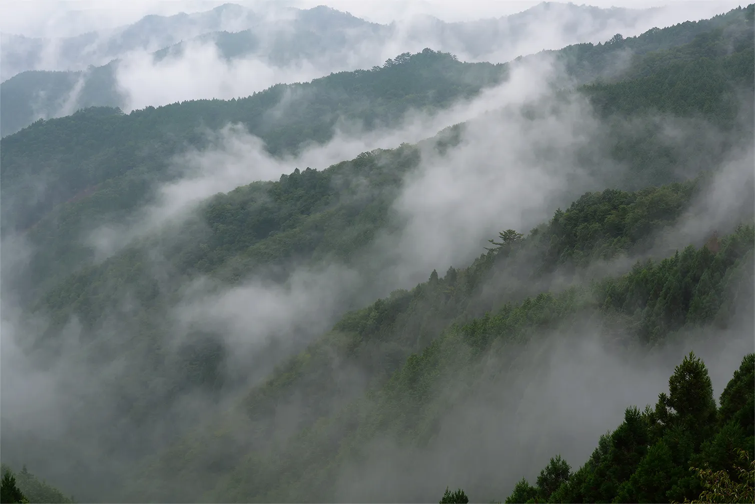 霧に包まれた緑深い山々。幻想的な風景。