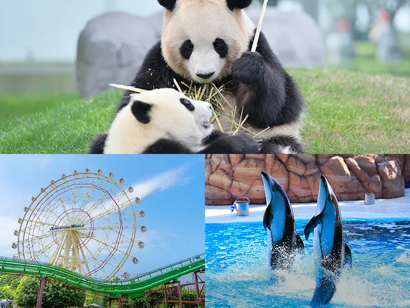 動物園と遊園地、水族館の画像を組み合わせたコラージュ。パンダ、観覧車、イルカショーが楽しめる。